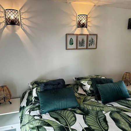 Apartment Au Calme Dans Maison En Rez De Jardin A 2,2 Kms Du Groupama Stadium Et Salle Ldlc Arena Meyzieu