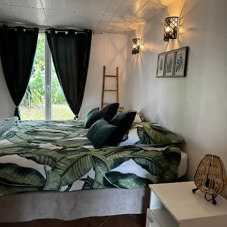 Apartment Au Calme Dans Maison En Rez De Jardin A 2,2 Kms Du Groupama Stadium Et Salle Ldlc Arena *