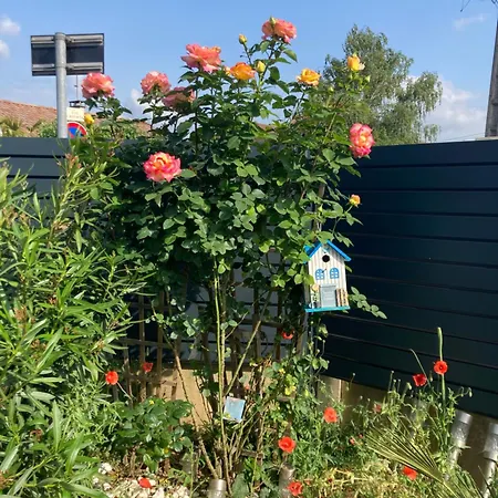 Appartement Au Calme Dans Maison En Rez De Jardin A 2,2 Kms Du Groupama Stadium Et Salle Ldlc Arena