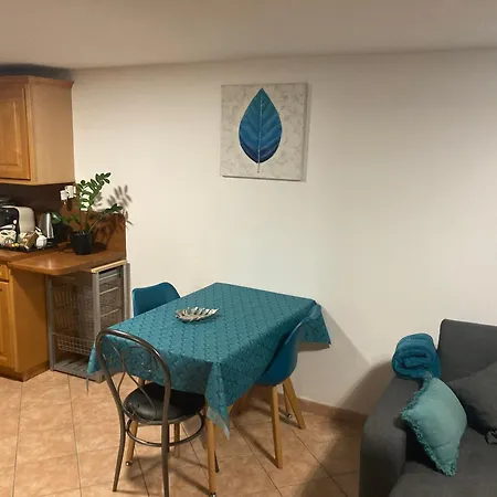 Au Calme Dans Maison En Rez De Jardin A 2,2 Kms Du Groupama Stadium Et Salle Ldlc Arena Apartment *